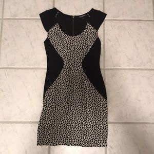 Express cheetah print dress
